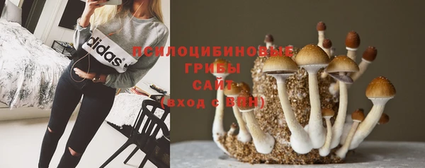 герыч Заволжск