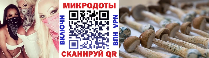 Купить  Камбарка  Галлюциногенные грибы мухоморы 