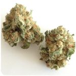 Шишки "White Widow"  (Белая вдова)  Гидропоника -  Бошка VHQ в Камбарке